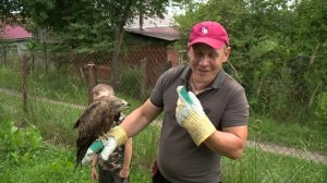 Нижегородец приютил дикую птицу
