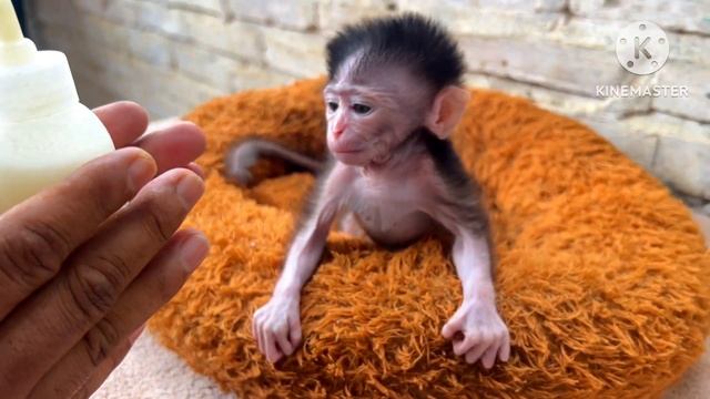 Беседа подушам. смотреть онлайн