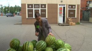 Сезон продажи арбузов стартовал в Бийске ("Будни", 22.07.25г., Бийское телевидение)