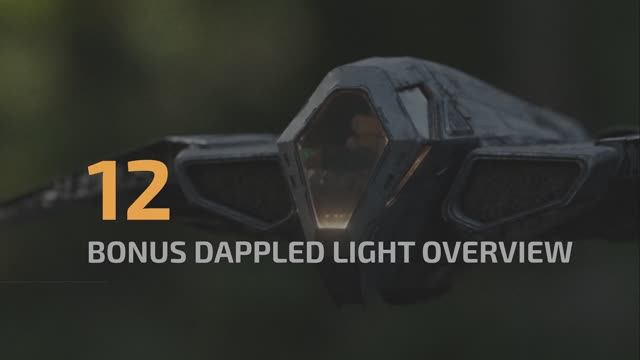 W1_12_bonus_dappled_light_overview