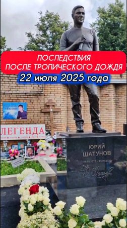 летний ливень: могила Юрия Шатунова #shorts #шатунов #2025 #shortvideo #белыерозы #ласковыймай