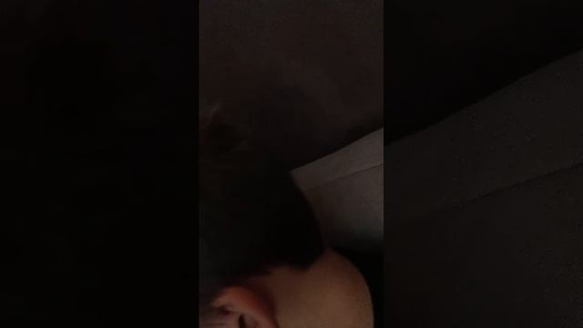 мемчики (эфир) смотреть онлайн