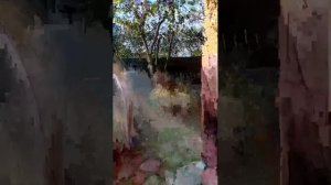 негего
