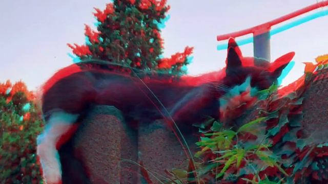 ЖАРА - ЖАРА.....
КРЫМ, ИЮЛЬ 2024г смотреть онлайн