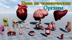 Сколько стоят человеческие органы