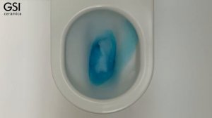 GeniusFlush