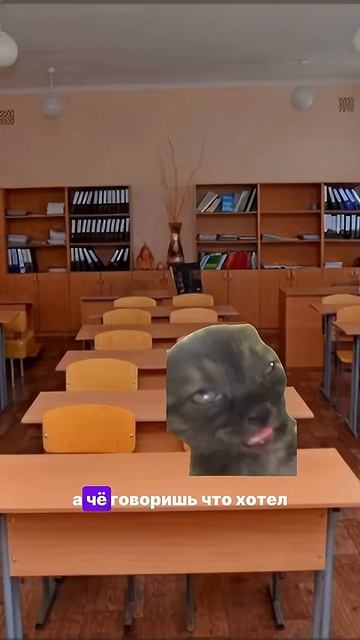 Котик двоечник на уроке английского (пародия с котами) #video #cat #shorts #meme #cats #catshorts смотреть онлайн