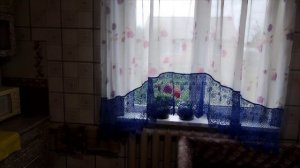 Обзор жилья. Дорога домой.
