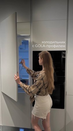 Холодильник с Gola-профилем