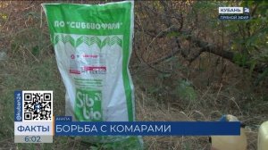 В Анапе проведут обработку водоемов от личинок комаров