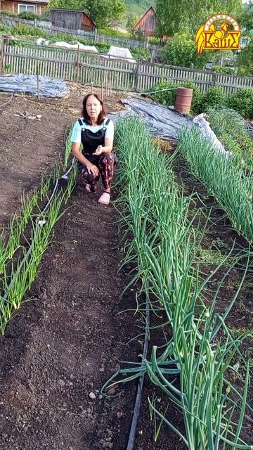 69. Что делать, если лук стрелкуется смотреть онлайн