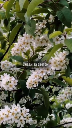 Советы как снять, как  кино