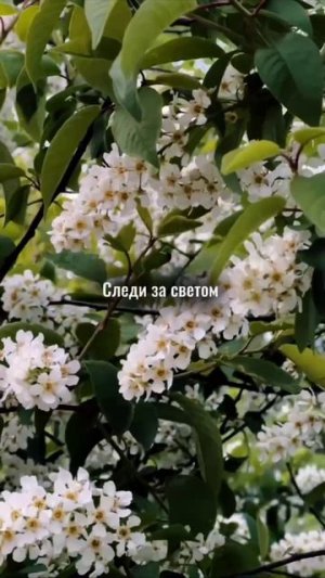 Советы как снять, как  кино