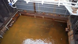 🚢🐟«Пионер» в развитии аквакультуры