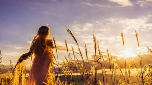 Рассказы онлайн. Возращение любви в семью ... Истории из жизни