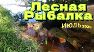 КЛЁВ ПОСЛЕ ОБЕДА ЛЕСНАЯ РЕКА