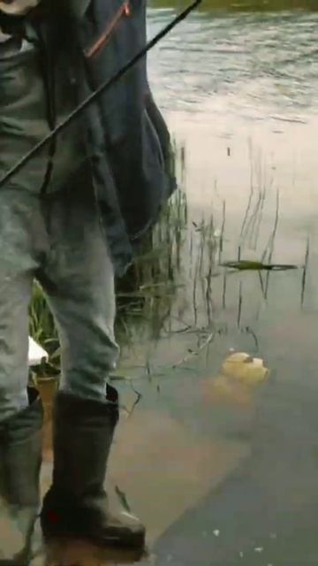 Уходит смотреть онлайн