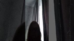 утренний эфир