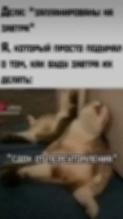 scene_output.mp4