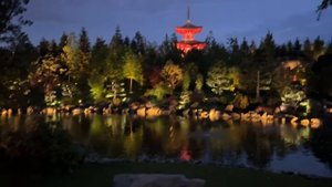 Вечерняя пожсветка Японского сада в парке Галицкого 🙌