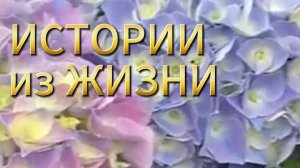 Истории из жизни|Битва за любовь и семью|Аудио рассказы|Аудиокниги слушать онлайн|Жизненные истории