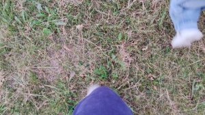 Хожу по деревенской траве, счастье в деревне