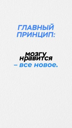 Как учеба может превратиться в приключение?