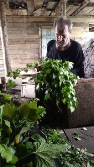 Истории из жизни. Трагедия в семье.