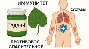 Гудучи — амрита для иммунитета и суставов | Аюрведа с доктором из Индии