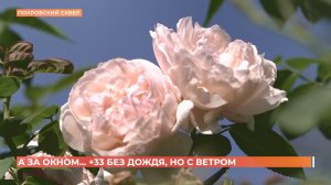 А за окном. 22 июля 2025