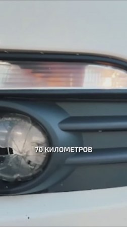 Как был УНИЧТОЖЕН Volkswagen бывшим владельцем? #автоподбор #Volkswagen