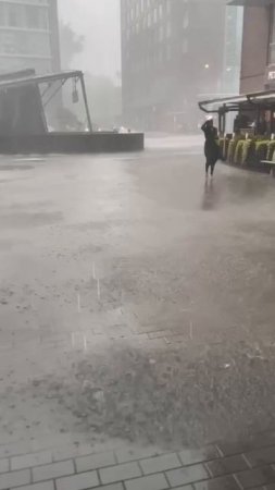 В Москве опять зарядил ливень