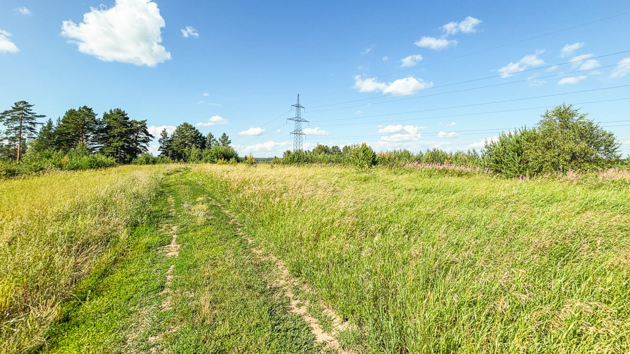 Видео-обзор участка Шелеховский р-н 1,3 га смотреть онлайн