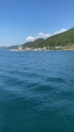 байкальская дичь