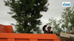 Экологи «Газпром добыча Уренгой» пересаживают деревья