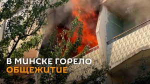 МЧС эвакуировало 50 человек и кота из горевшего общежития в Минске