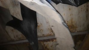 замена передних стоек