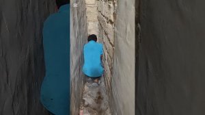 Спасение очередного выброшенного и никому ненужного