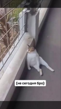 Сегодня у меня выходной