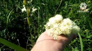 Будем решать вопрос с переездом