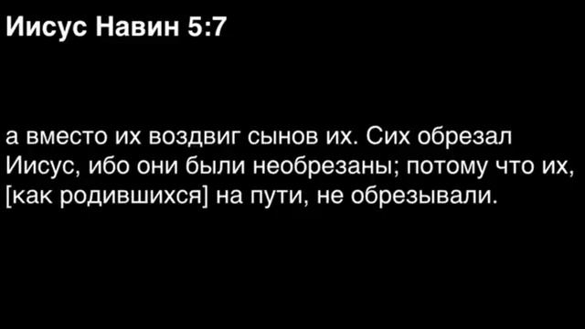 Книга Иисуса Навина, глава 5 смотреть онлайн