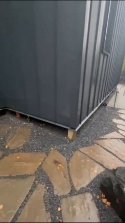 Благоустройство
и расчистка участков в Москве и МО