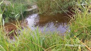 утренняя рыбалка на донку.