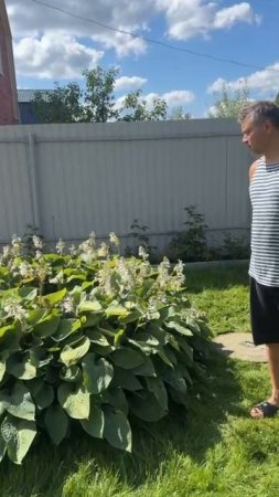 Отзыв - Чистка и восстановление скважины в Сергиевом посаде