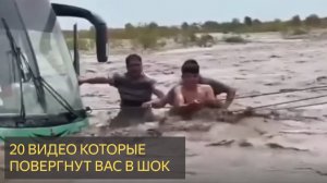 20 Страшных Видео, Которые Повергнут Вас В Шок.  Лучшее За Месяц