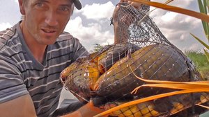 КРУПНЫЙ ЛИНЬ НА УДОЧКУ! ВОТ ЭТО УДАЧНАЯ РЫБАЛКА! Рыбалка на поплавок гусиное перо