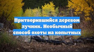 Притворившийся деревом лучник. Необычный способ охоты на копытных