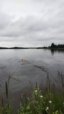 20. 07.25 Воскресный тритлон(бег с гонтелями 10км,вело 17км,плавание)