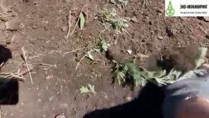 Диско АДК-8 – в работе!