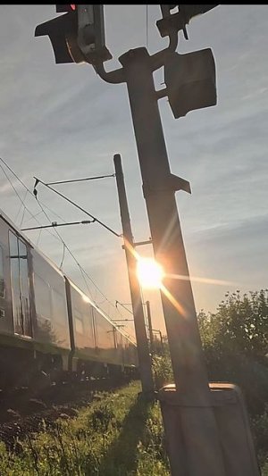 Петергоф 2025